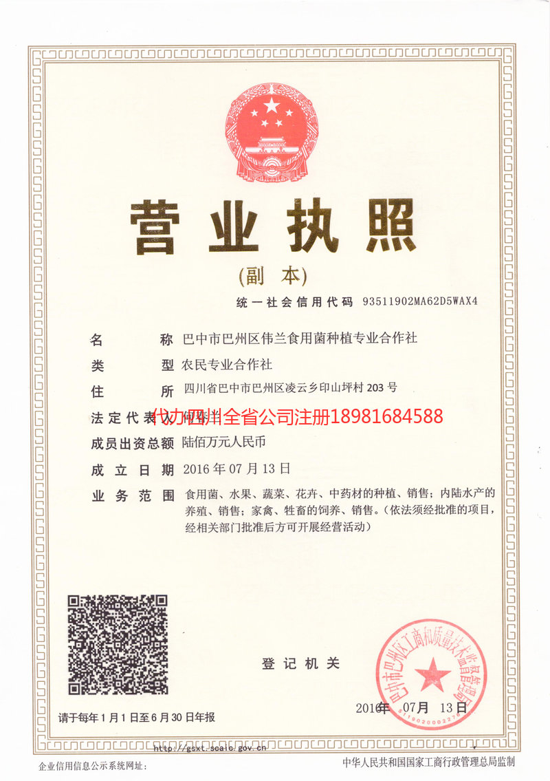 临沂临沂伟兰食用菌种植专业合作社